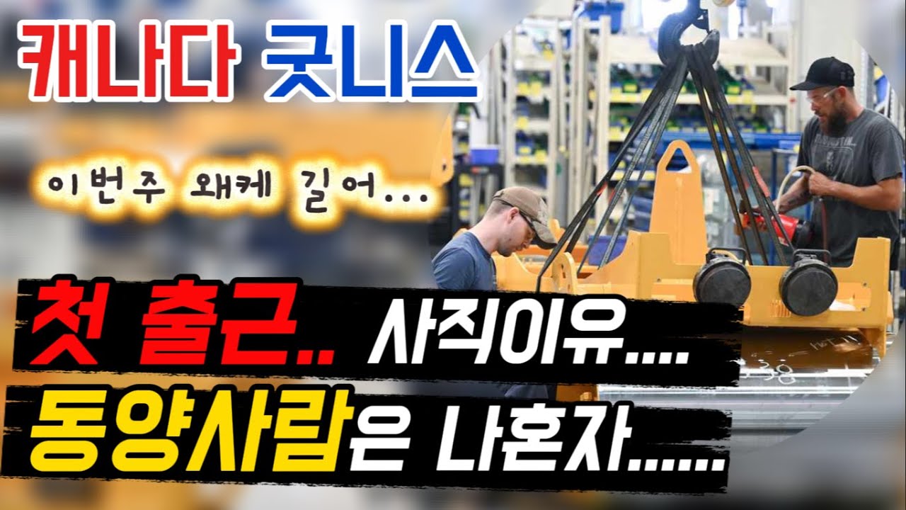동양인은 나 뿐이구나... 첫 출근 그리고 회사를 그만둔 이유. #캐나다 #이직 #기술