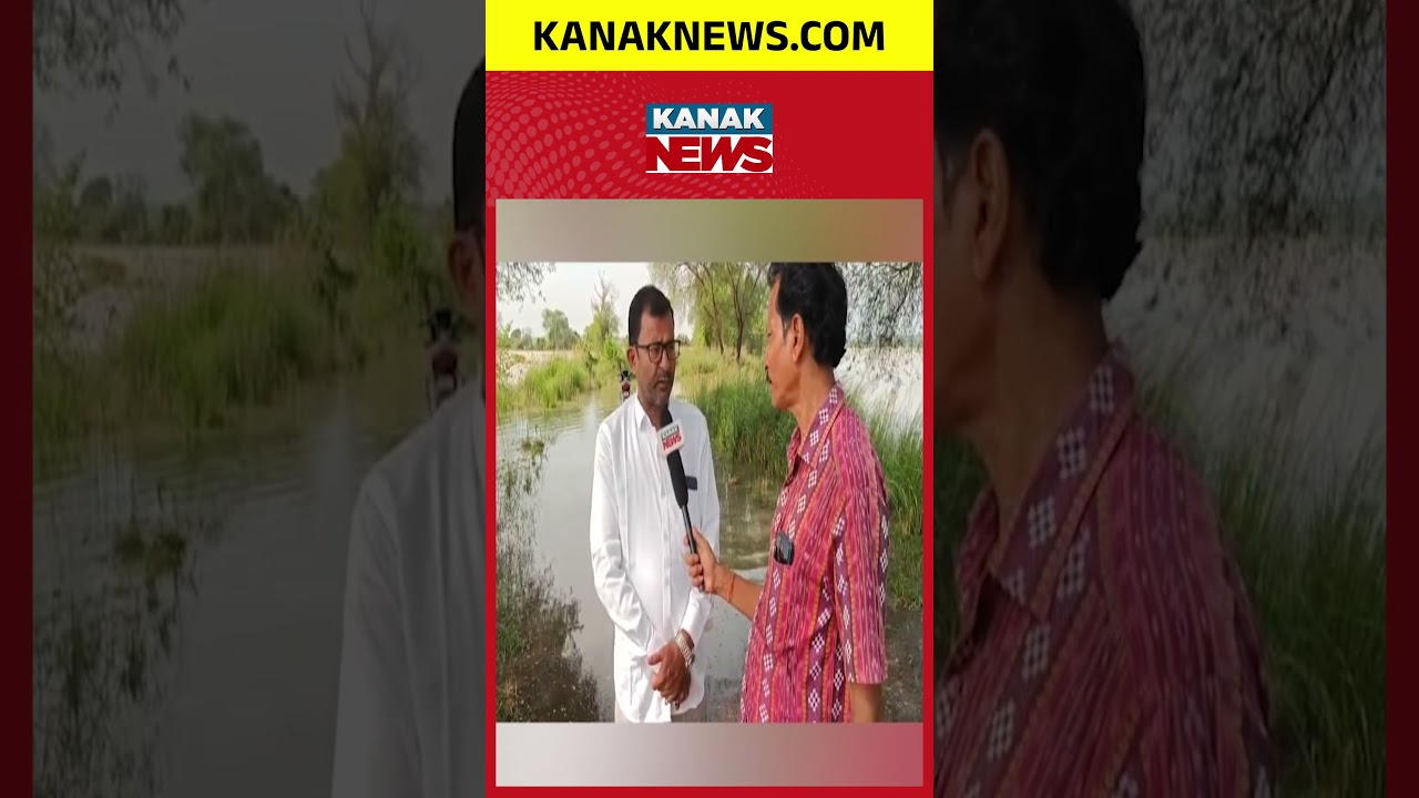 Odisha Flood Update | 3,000 People Stranded in Nayagarh Due to Mahanadi Flood