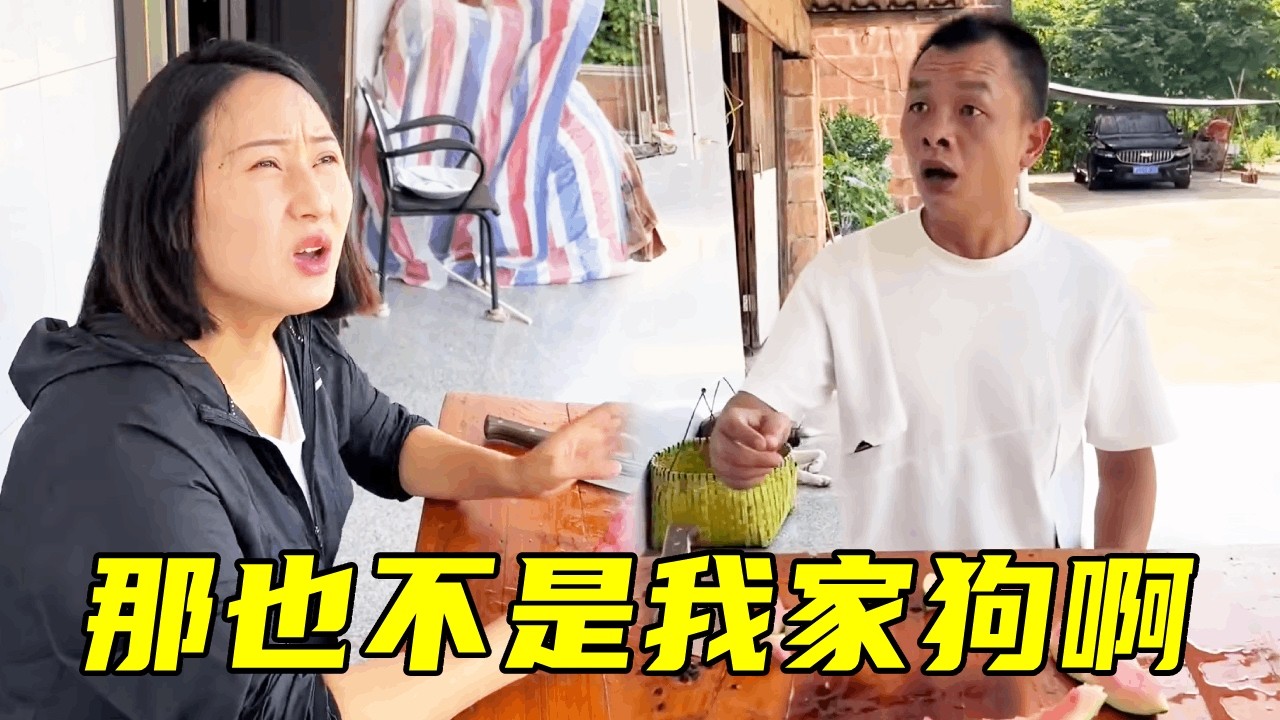 老表借慧慧家狗回家捉老鼠，结果被狗咬了找慧慧索赔！怎料慧慧说他抱走的竟是流浪狗！#搞笑视频 #万万没想到 😂😂