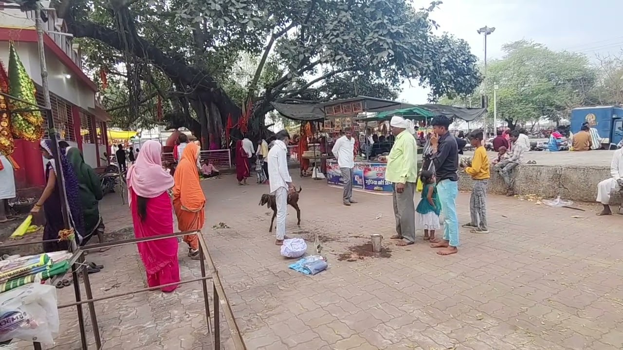 चमत्कारी मंदिर जहां होती हैं  मनोकामना पूरी कोचरा माता मंदिर महाराष्ट्र शाहदा मप्र बड़वानी खेतिया