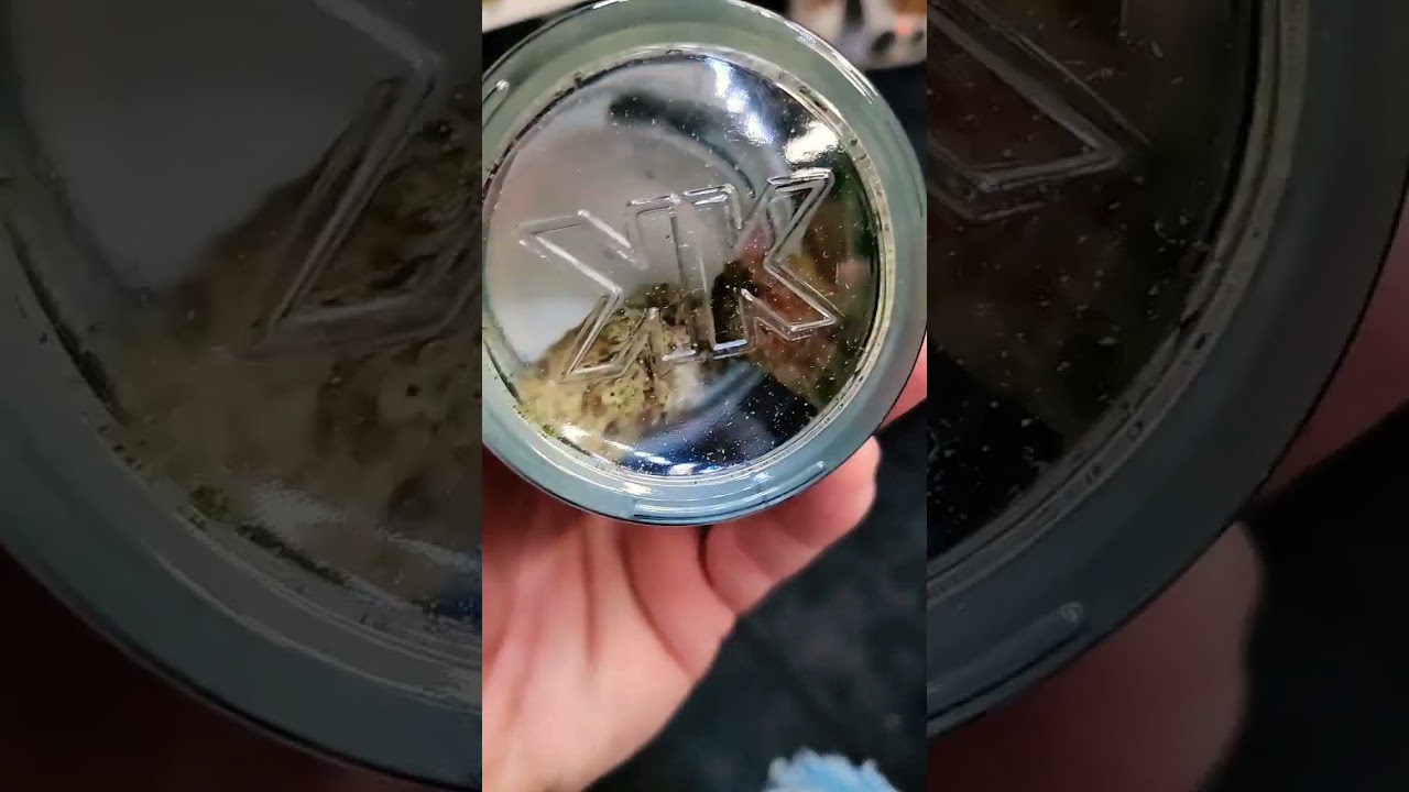 Khalifa Kush by wiz khalifa total thc 31.37