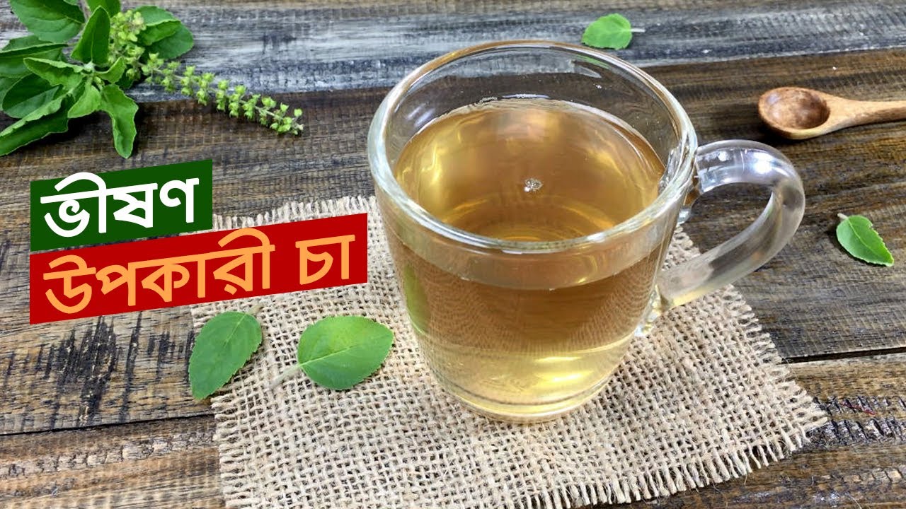 তুলসী চা | স্বাস্থ্যকর প্রসেসে তুলসী চা বানানোর নিয়ম | তুলসী পাতার উপকারিতা | Tulsi Cha Recipe