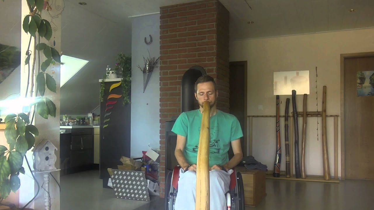 Didgeridoo Eiche dis