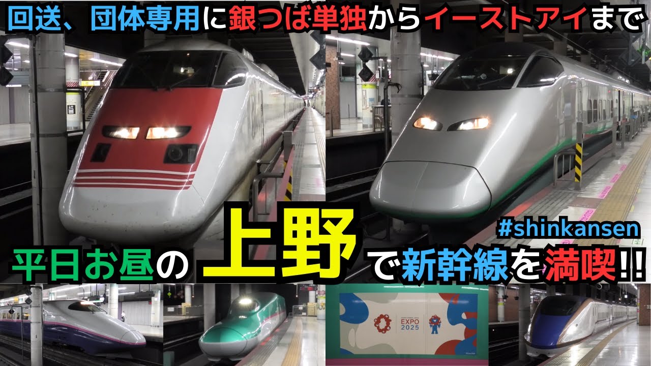 【上野で色んな新幹線見れた！】回送、団体専用に銀つば単独からイーストアイまで！　#shinkansen  #ueno #tokyo