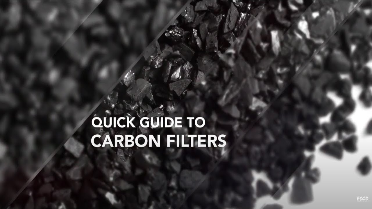 Quick Guide to Carbon Filters | Esco Scientific