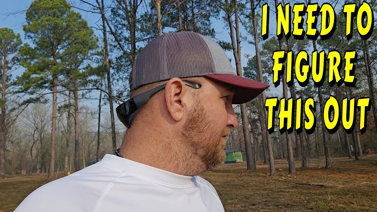 HOW WILL I GET THIS DONE?  tiny house, homesteading, off-grid, cabin build, DIY, HOW TO, sawmill