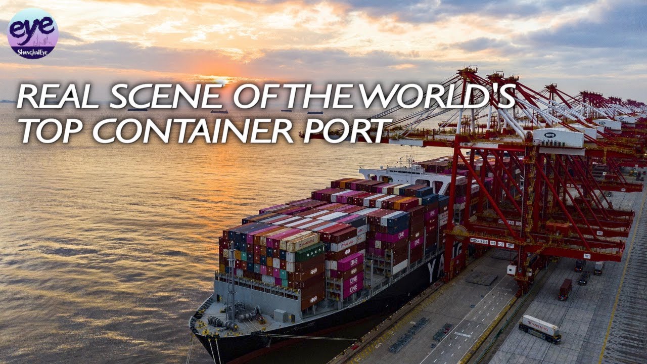 Shanghai Port stays resilient despite tariff challenges and sees strong growth