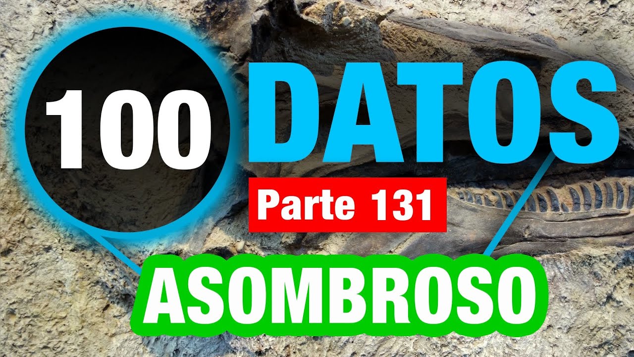 100 Datos &Uacute;nicos Que Te Har&aacute;n M&aacute;s Inteligente