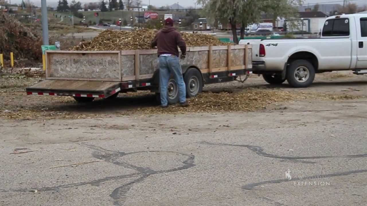 When Life Gives You Broken Trees, Make Mulch | From the Ground Up