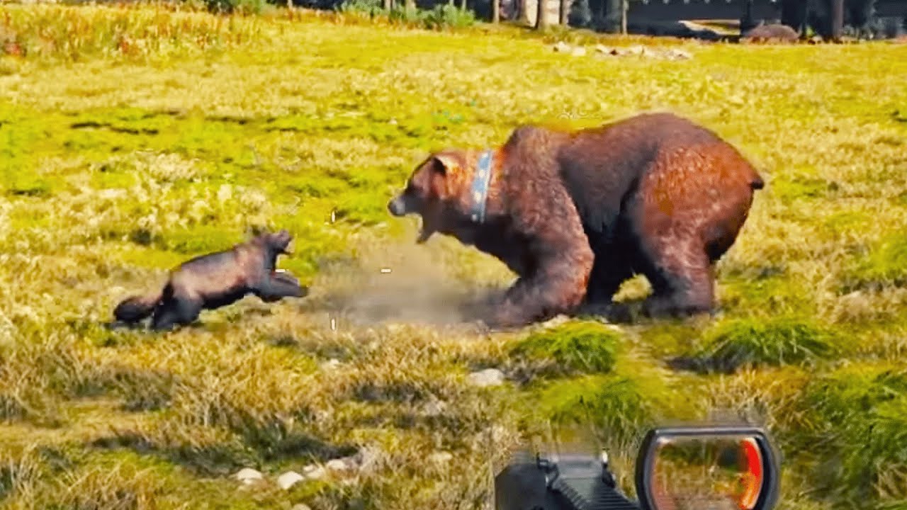 Far Cry 5 - Crazy Animal Fights & Animal Attacks