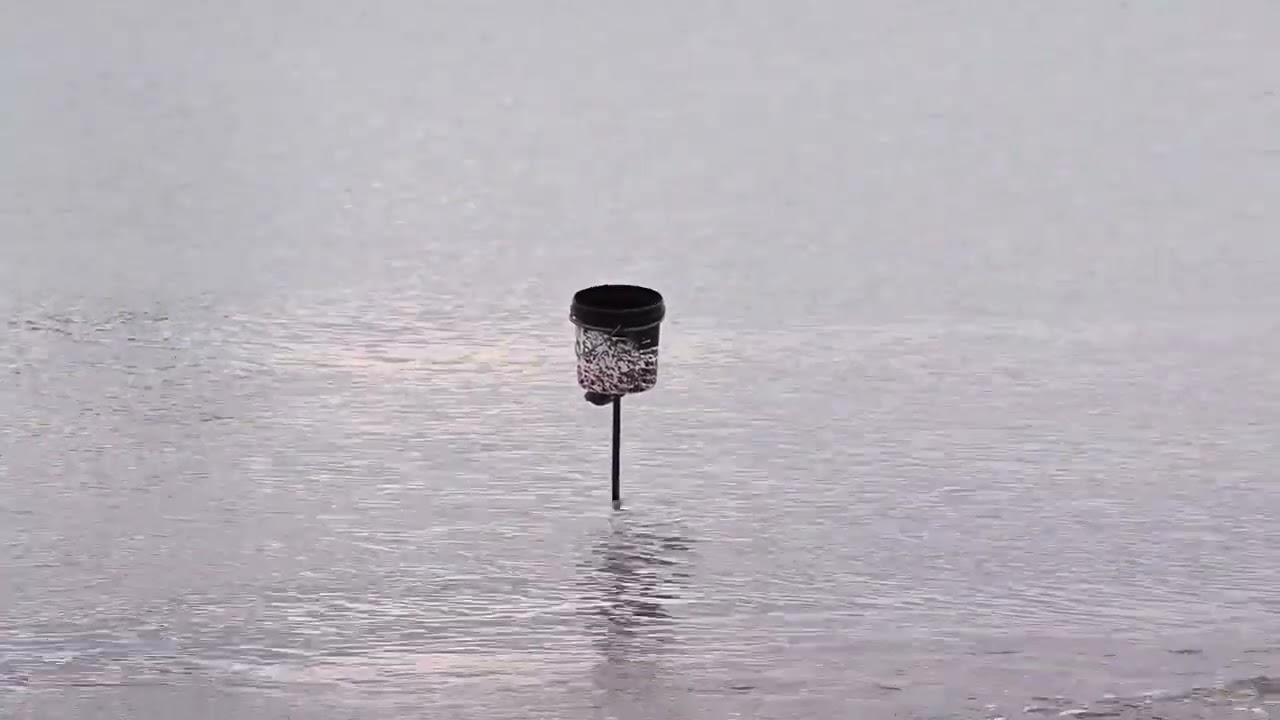 White Bait Fishing  New Zealand - Waimakariri River Mouth