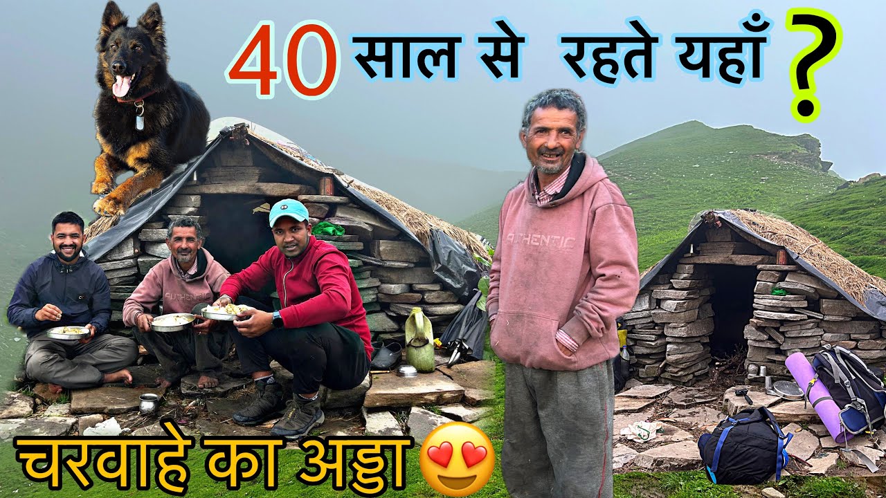 धरती का स्वर्ग है यहाँ 😍 आखिर क्यों चरवाहे 40 सालों से रहते यहाँ ? | Shepherd lifestyle | Arjun k v