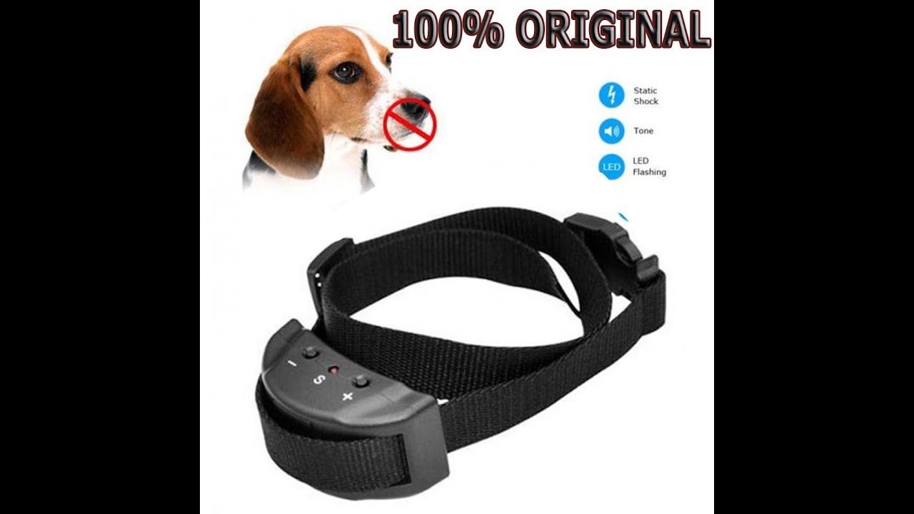 COLEIRA DE ADESTRAMENTO ANTI LATIDO 100% ORIGINAL PET 853