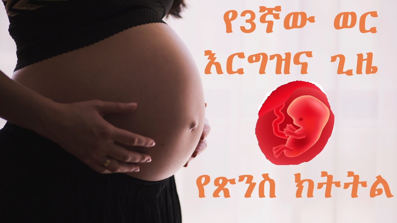 #Ethiopia 3ኛው ወር የእርግዝና ጊዜ የጽንስ ክትትል || 3 Three Month Pregnancy