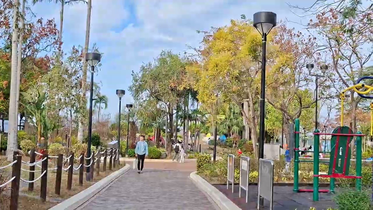 馬鞍山公園~2026-01-25