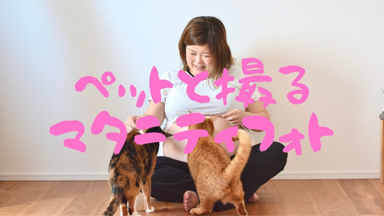 【マタニティフォト】 自宅で猫とウサギと一緒に撮りたい！