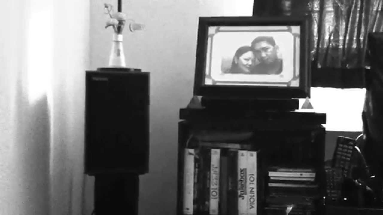 Harbeth P3ESR SE & AMX 6L6GC Class A Tube Amp (Smile)