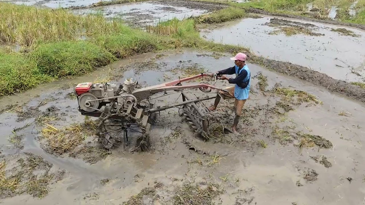 Traktor cirebon proses pertama membajak tanah dengan glebek part2 joki cungkring
