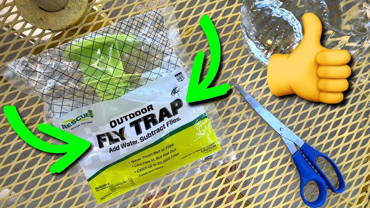Outdoor Fly Trap TESTED ! Does it Really Work ?
