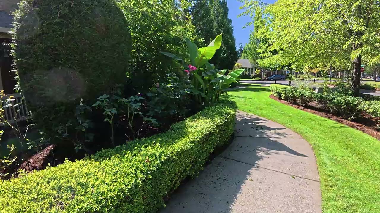 Arbor Roses and Neighboring Areas - July 3, 2025 (4)