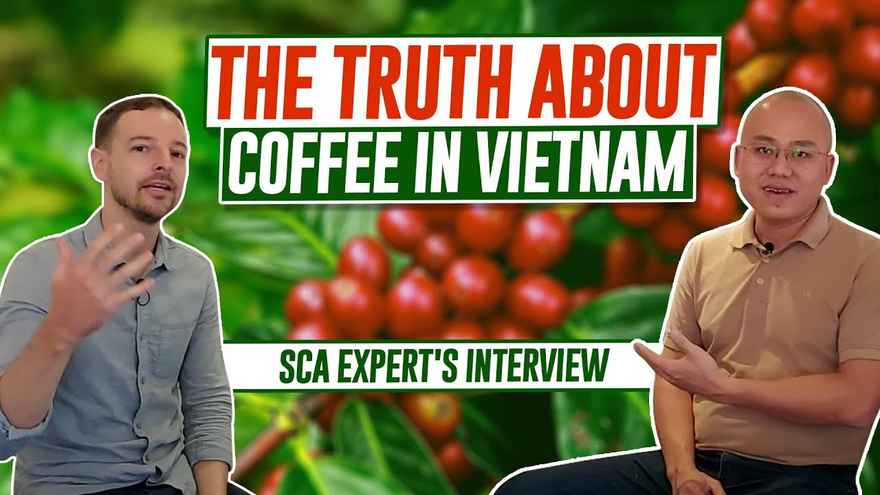 VIETNAM COFFEE | Arabica vs Robusta in Vietnam | Quality, Sourcing from VIETNAM and EXPORT