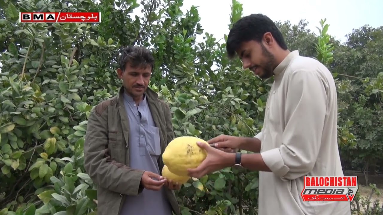 |pakistan  |Israel  |lemo |shoran |Balochistan  |sardarmeranrind |RindHouse