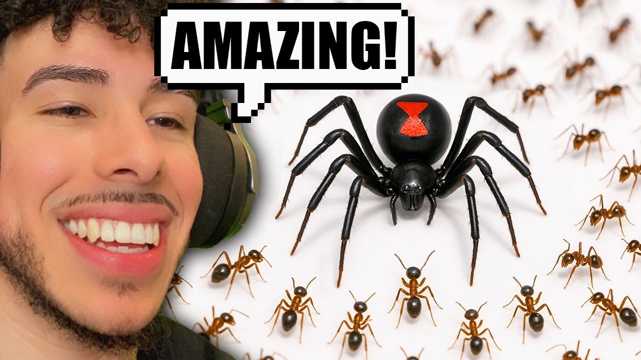 1000 Ants Vs Black Widow Was PURE CINEMA