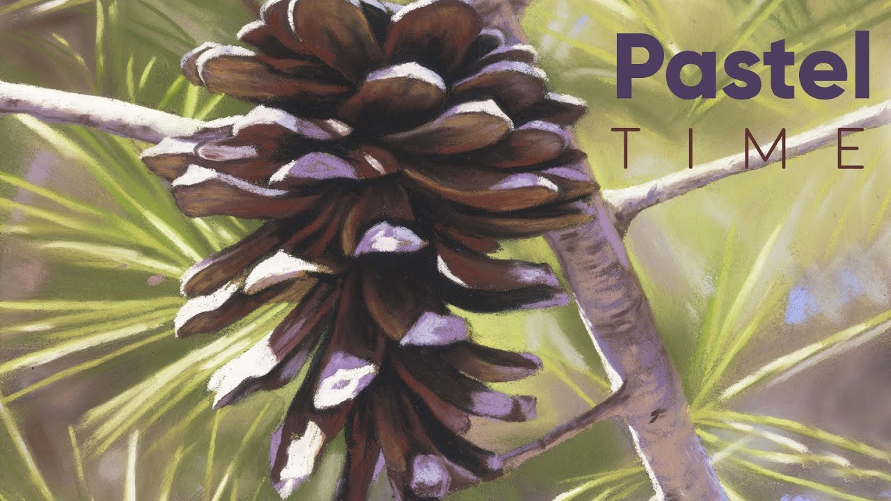 Pine Cone in Soft Pastel - Timelapse