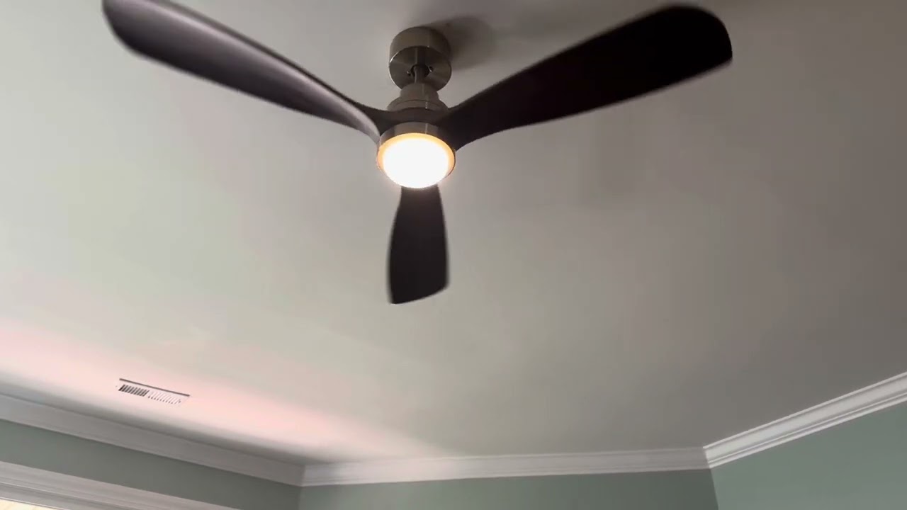 Casa Vieja Delta DC ceiling fan installed in my sister living room. 