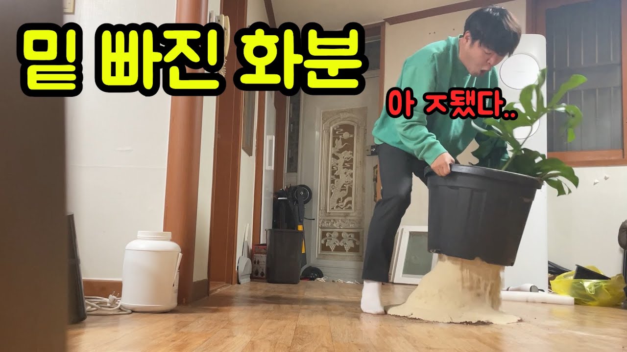 들면 ㅈ되는 화분ㅋㅋㅋㅋ