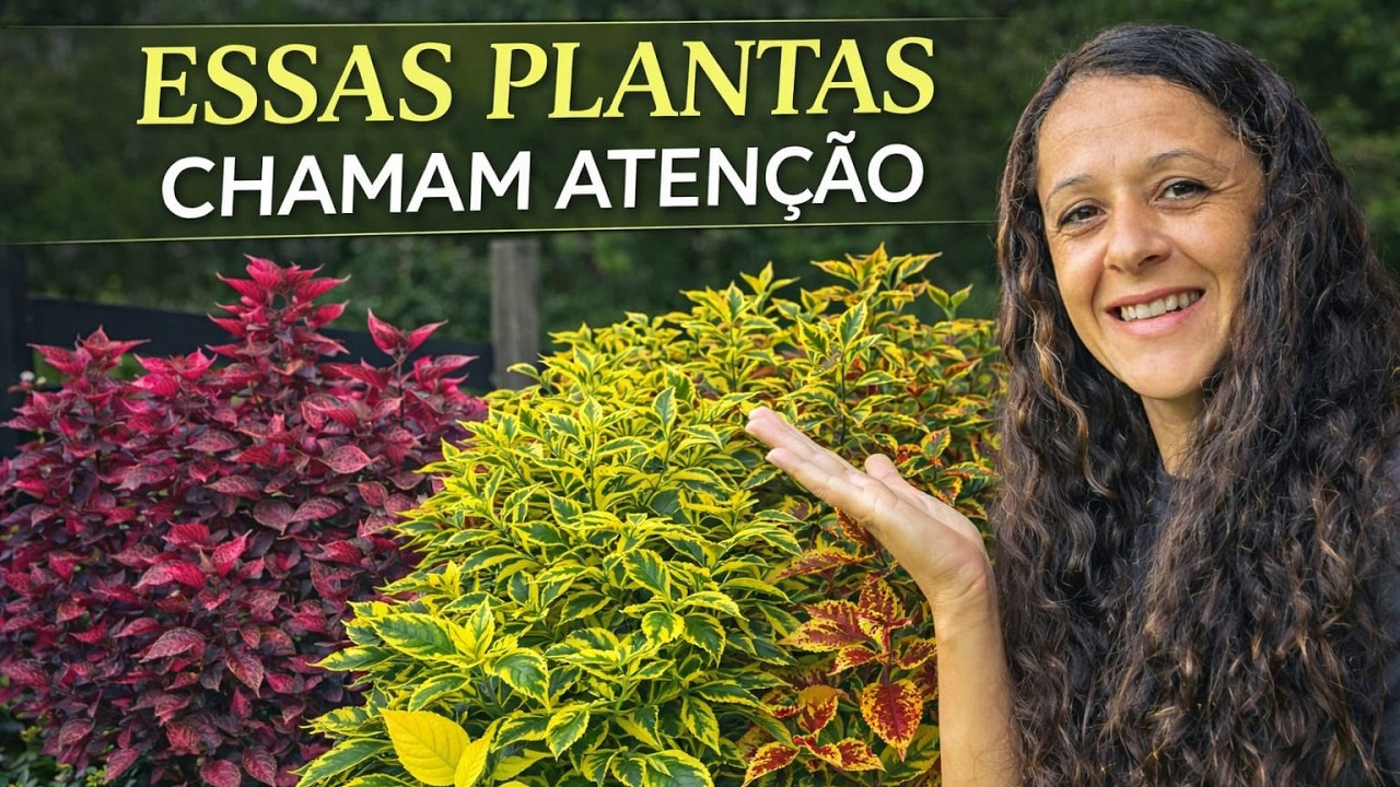 PLANTAS COLORIDAS QUE DESTACAM E TRANSFORMAM QUALQUER JARDIM