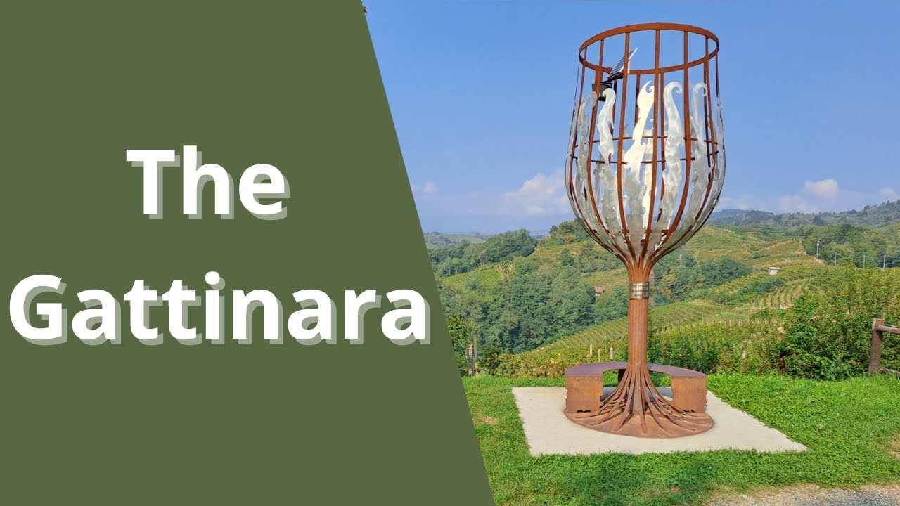 Gattinara DOCG The Pearl of Winemaking in Piedmont.