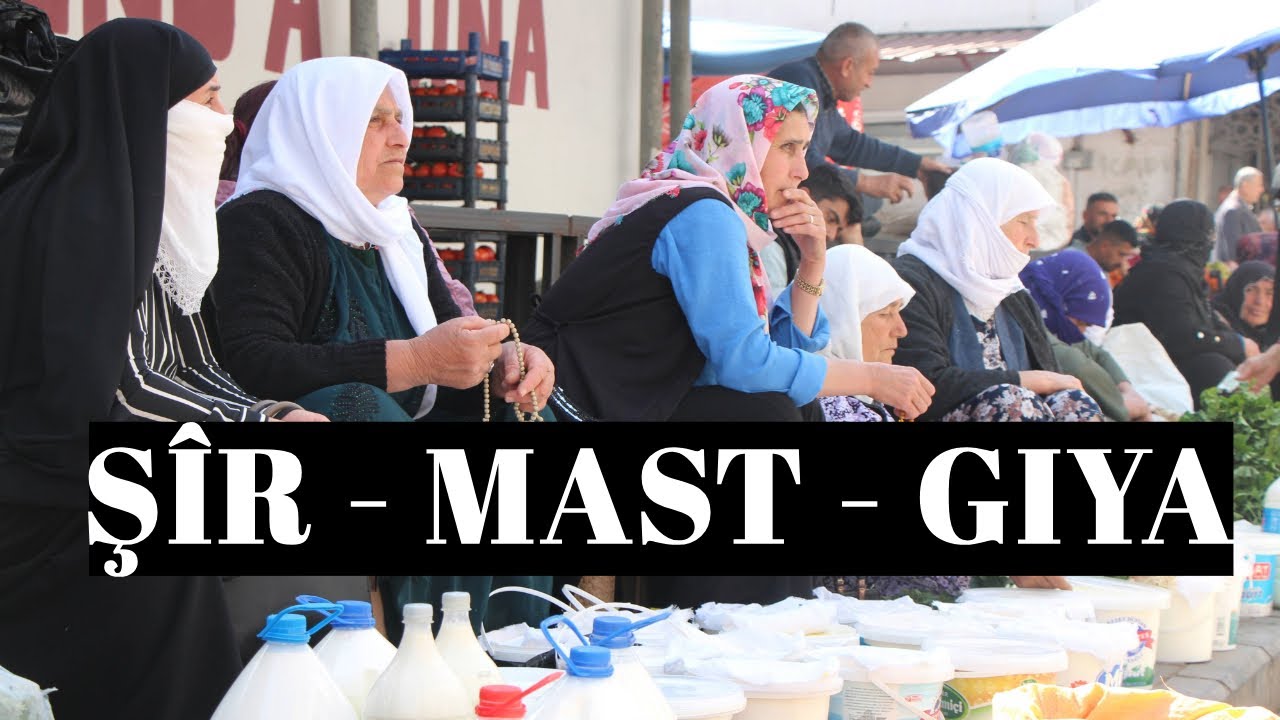 ŞÎR Û MAST Û GIYA...
