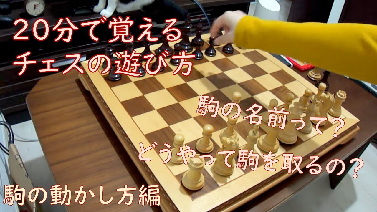 チェスのルール 駒の動かし方の説明　Chess Move