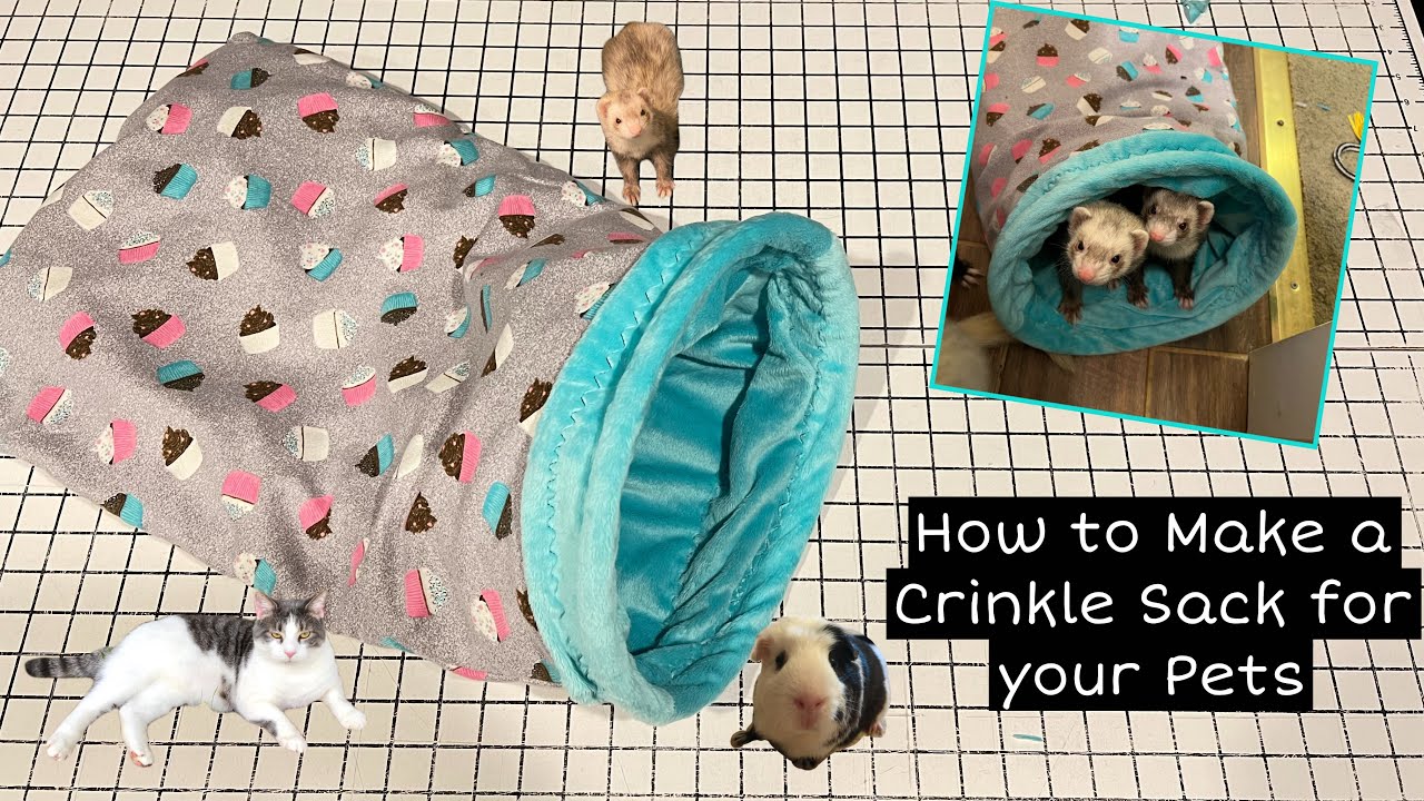 How to Make a Crinkle Sack for your Pets