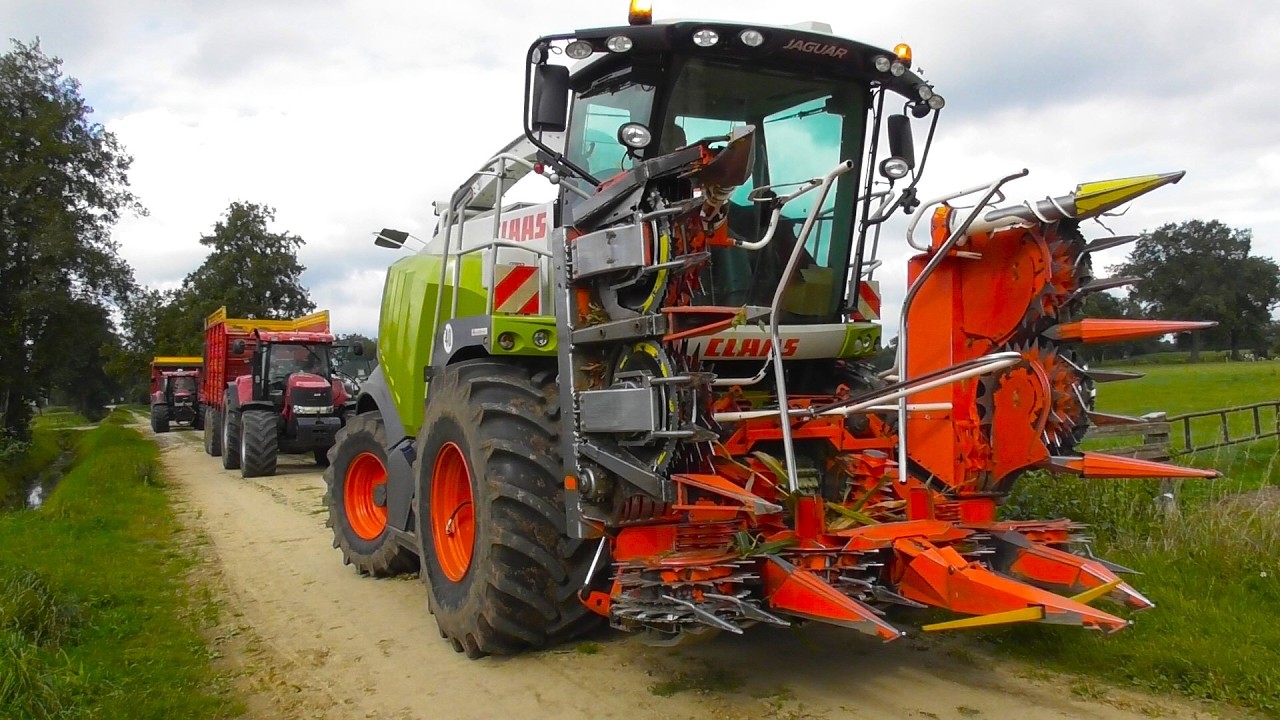 Schuttenbeld corn silage