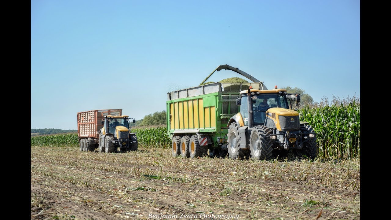 Siláže / Silage 2019 - 3x JCB Fastrac ( 2x 8310 & 7230 ) ; Claas Jaguar 850 ; Agroslužby.eu