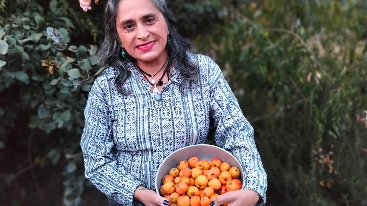 Cosecha de tejocotes (Crataegus mexicana).