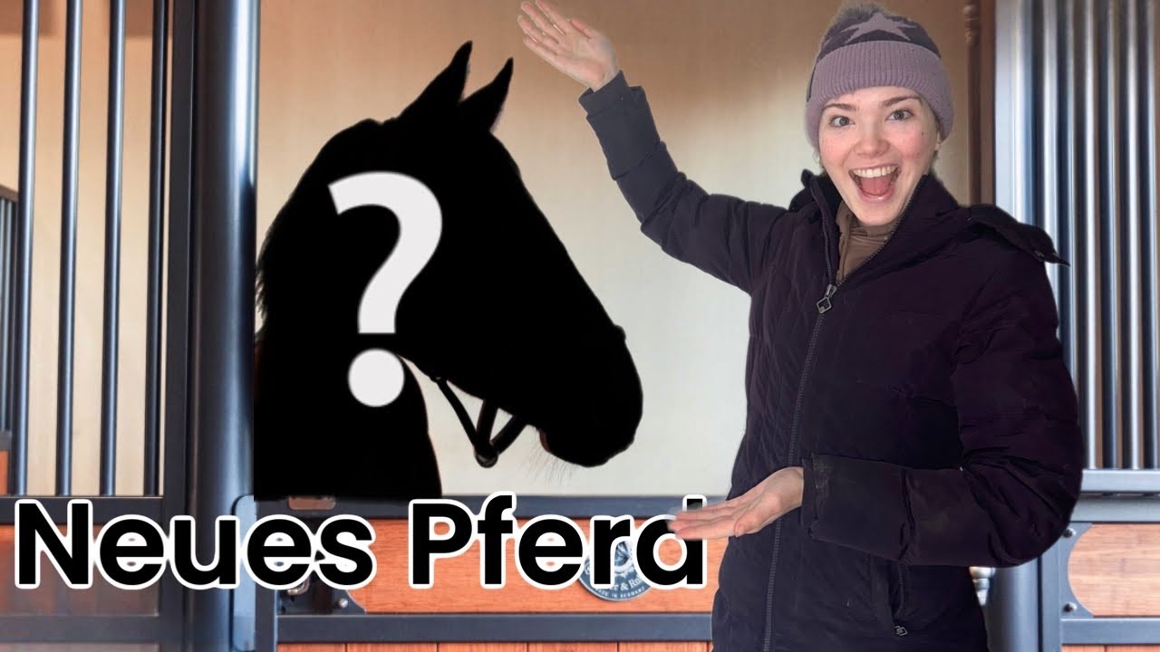 WIR HABEN EIN NEUES PFERD GEKAUFT!