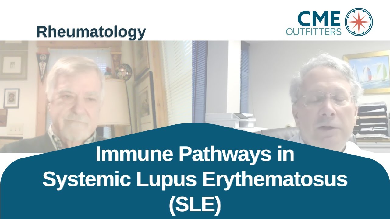 Immune Pathways in Systemic Lupus Erythematosus (SLE)