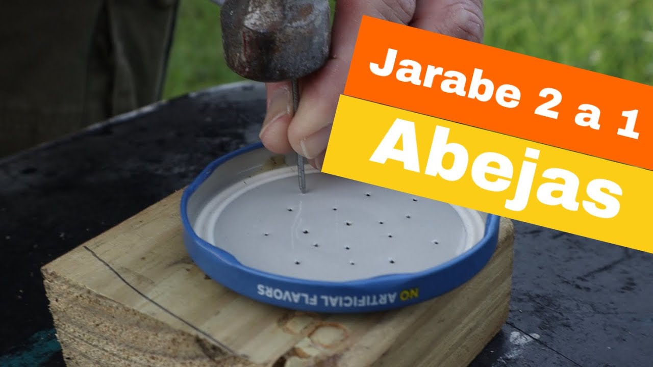Jarabe de azúcar  2 a 1 para abejas