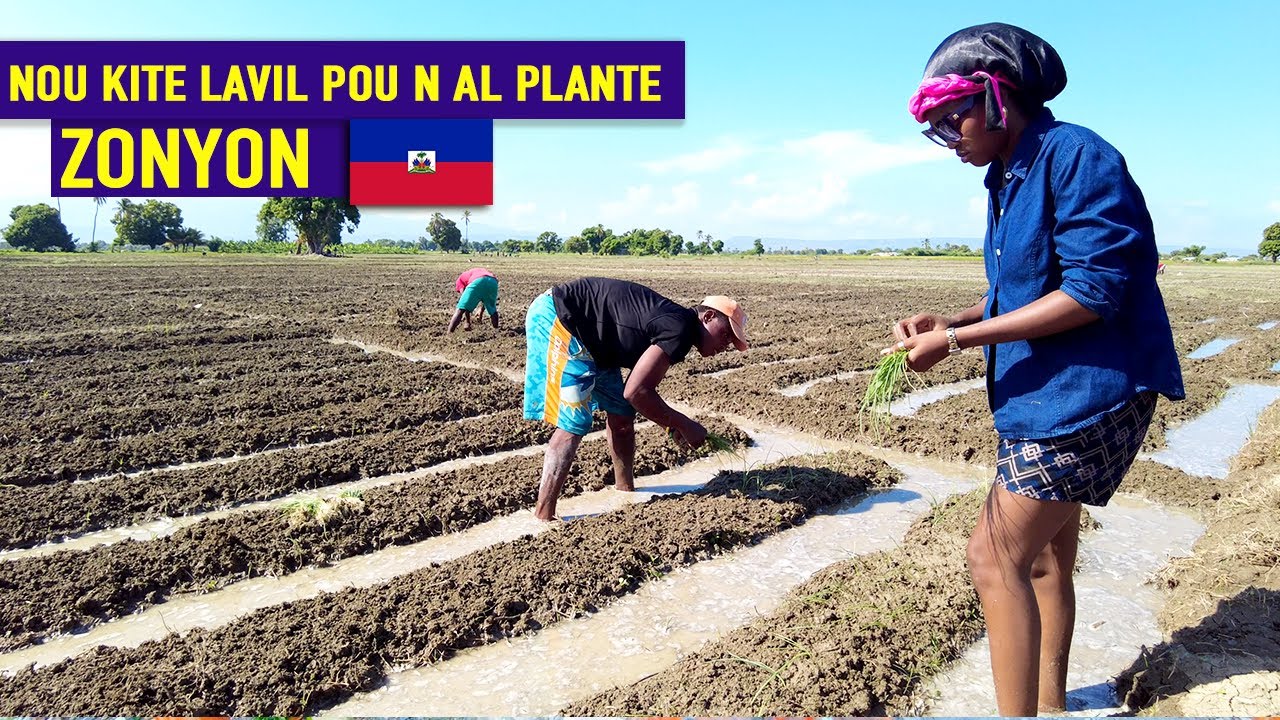 Nou sot nan vil Senmak pou vin plante zonyon nan zòn Gran Moulen senkyèm seksyon ~ latè pa bay manti