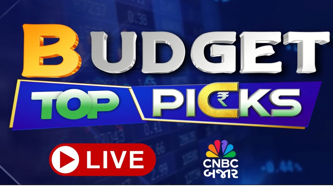 Buget Stock for investment | Budget પહેલા ક્યા કરશો રોકાણ? Pre-Budget top Picks | Union Budget 2026