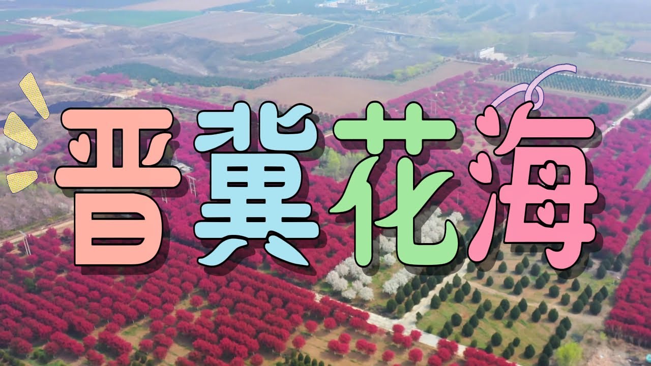 春日晋冀花海奇遇 雲崗石窟 應縣木塔 石家莊 太原邯鄲8天之旅