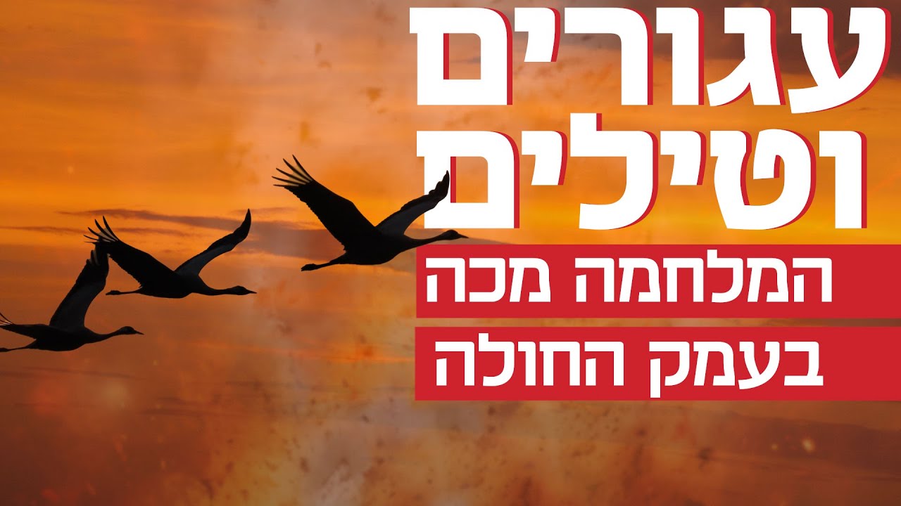 מצילים חיות ומתחמקים מטילים: המציאות החדשה בעמק החולה