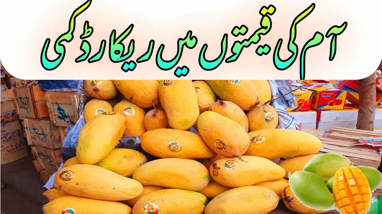 Mango  Arsh se Farsh Per | Mango Market Crash | Adnan Mayar Mango Vlogs | Daily Update Islamabad |