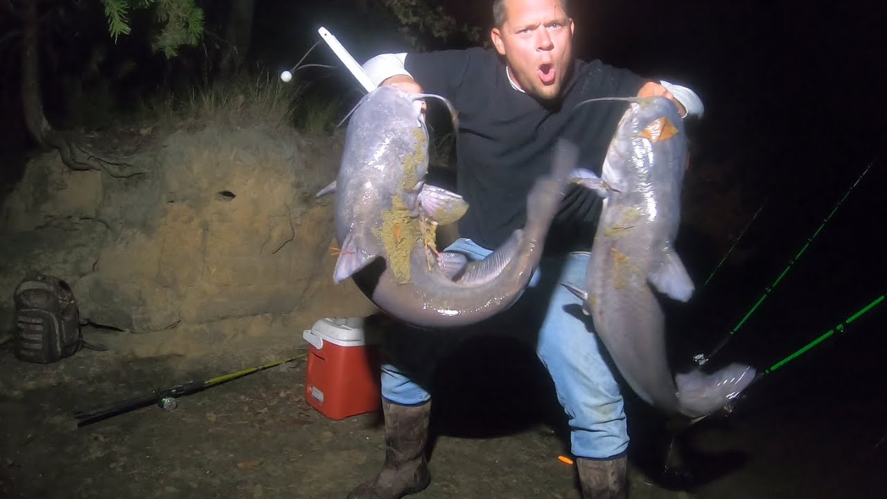 How To Catch Big Catfish At Night From The Bank