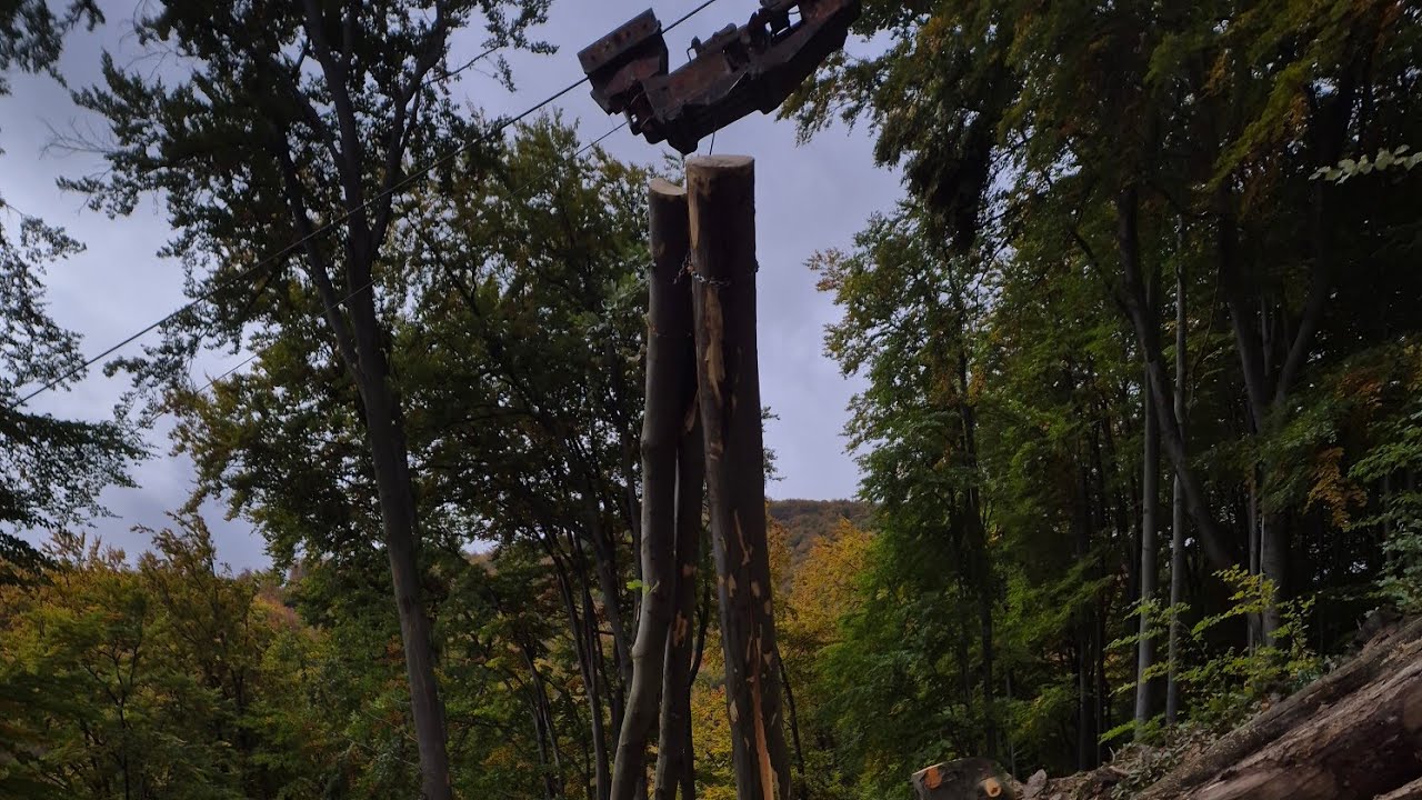 Dokončenie ťažby lanovkou v strmom a kamenistom svahu | Reálna práca v lese 🌲💪
