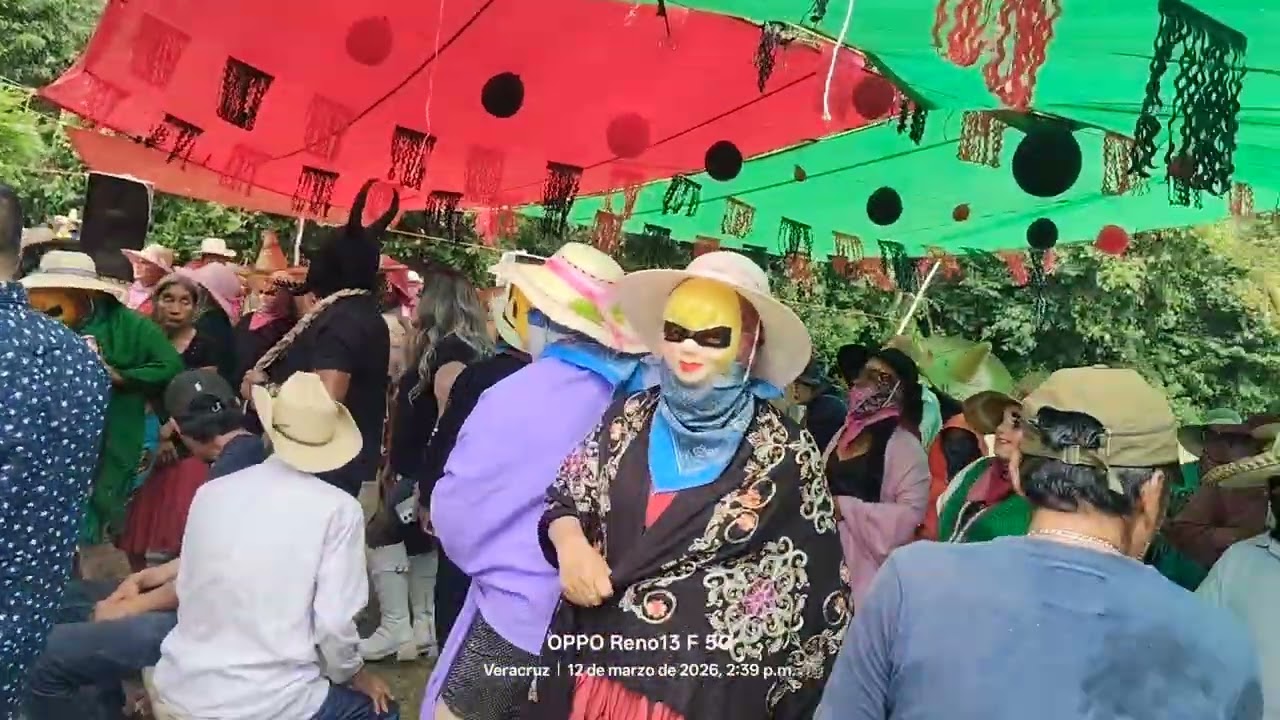 Poza Grande Veracruz Ixhuatlán de Madero 2026 carnaval 