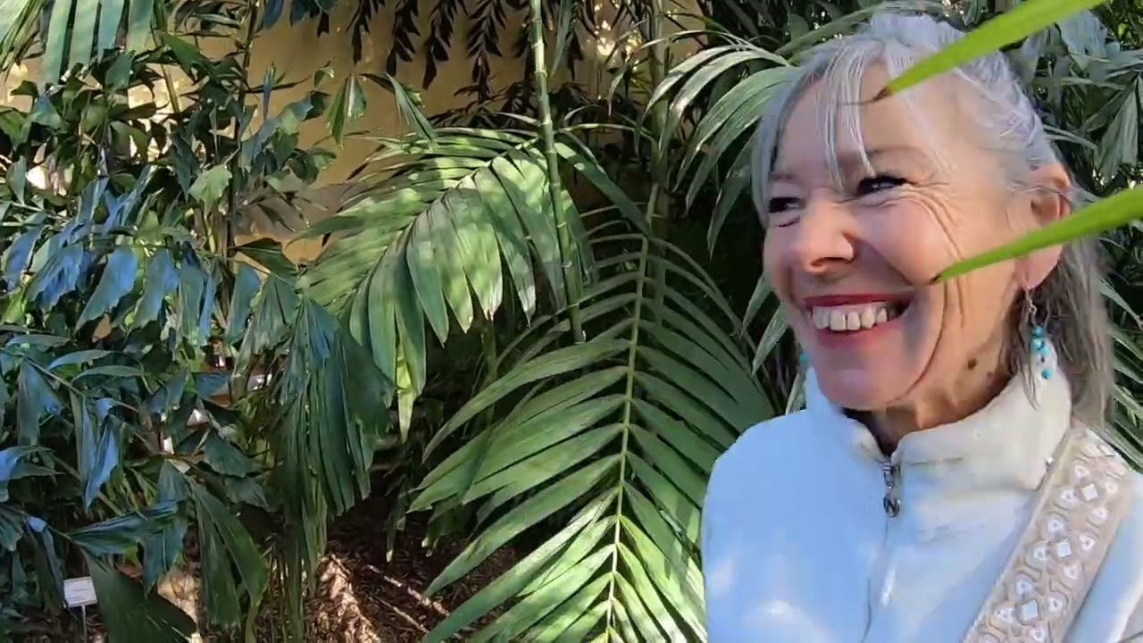 Jardin botanique de Valencia